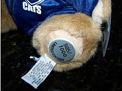 AFL PREMIERSHIP BEAR 29CM & TOWEL 2009 NEW GEELONG CATS 82 CM X 152 CM